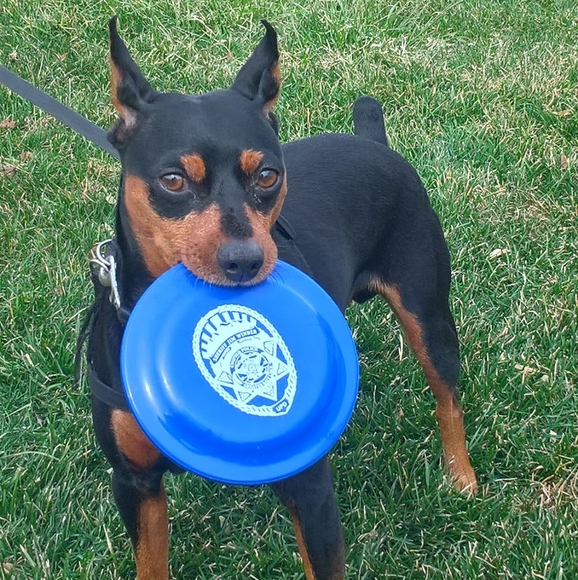 Welcome to my closet!! 😁🤗 - Picture 2 of 12